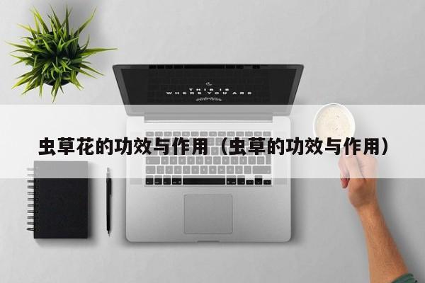 虫草花的功效与作用（虫草的功效与作用）